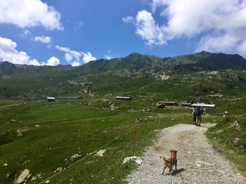 Lou Charmelle OnlyFans 1652c7428278a64b6fbb