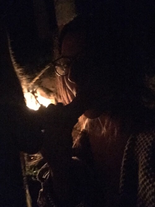 Lou Charmelle OnlyFans 1696ef11037253b9ed9