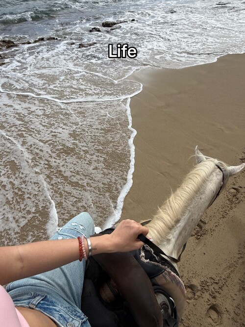 ME107IZH o4e0495edb40cc82d