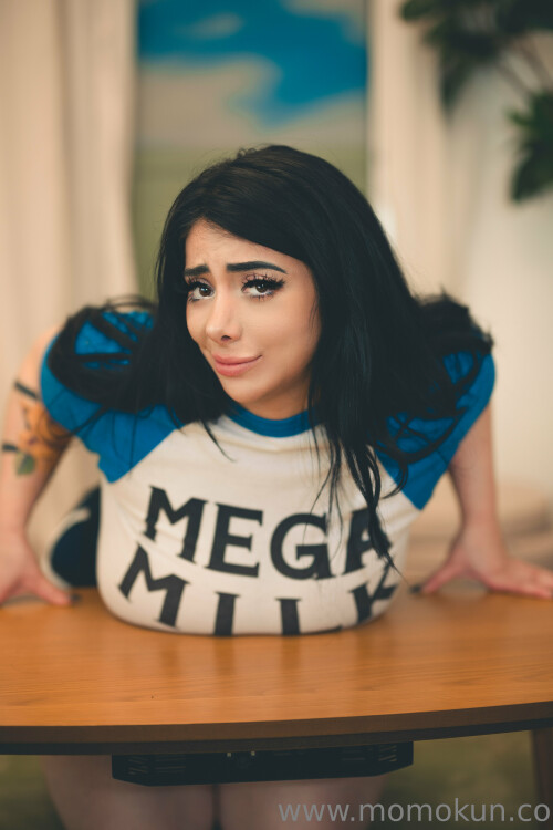 MEGA MILK15