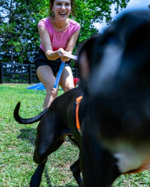 MEM9PJR o8c724fadc9bf0ce4