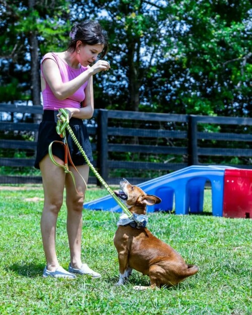 MEM9PJS oe7e7c375bebf8624