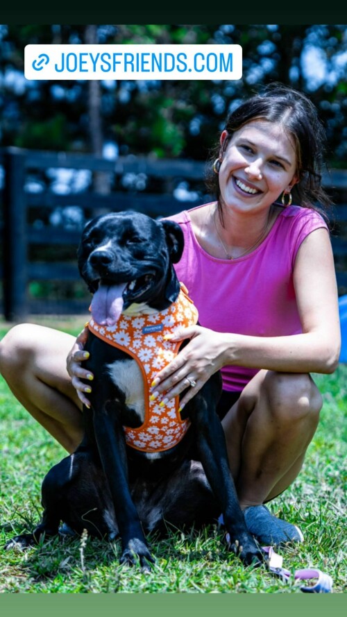 MEMAD2C o75a2434cf3f7ccf0