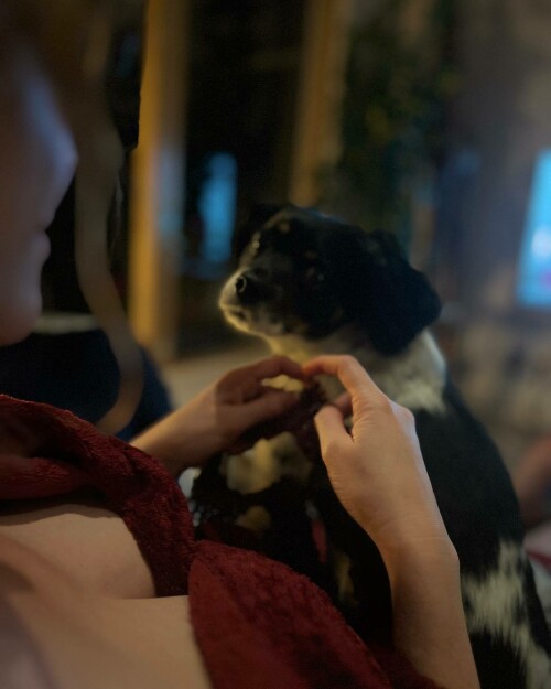 MEOYVPT od2a4221d3686b3f2