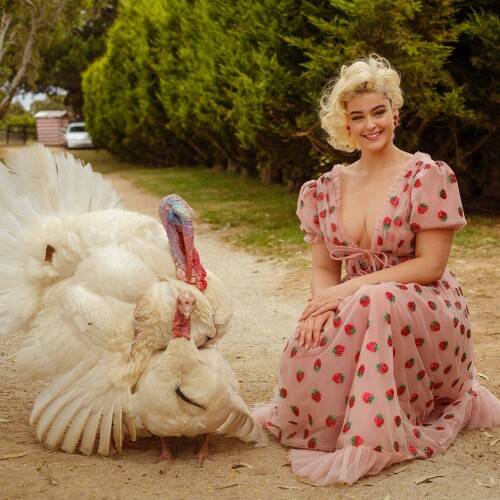 MEQCD1M o7c6f07b65f380691