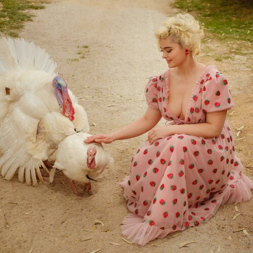 MEQCD1P o1aa3374a1d146e6c