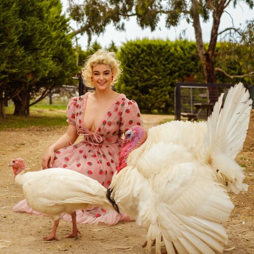 MEQCD1Q o9b9b3bc731585856