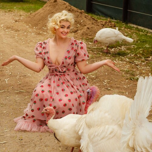 MEQCD1R o7fc7f34226a49be6