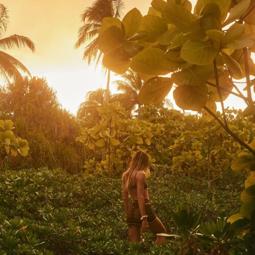 MEVQ3TR ocde5ba44889e818d