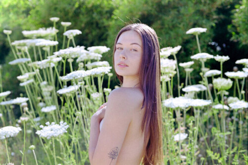 MG 9809 1 800x533e0aa24e81ab0b71d