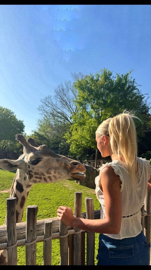 ML8YprrLpbaWFzwRuLEjX.1023185213fa5f63ea20