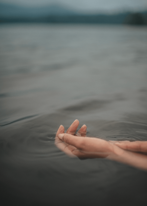 MM_0865187cb6617844fc