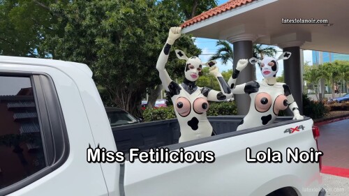 MOOvie Stars 00.00.15.0490e38b5b0a04d6d30