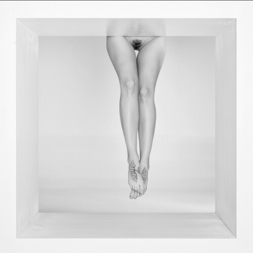 Maria DeminaMEBLYT2 occ278a99beba1a8a