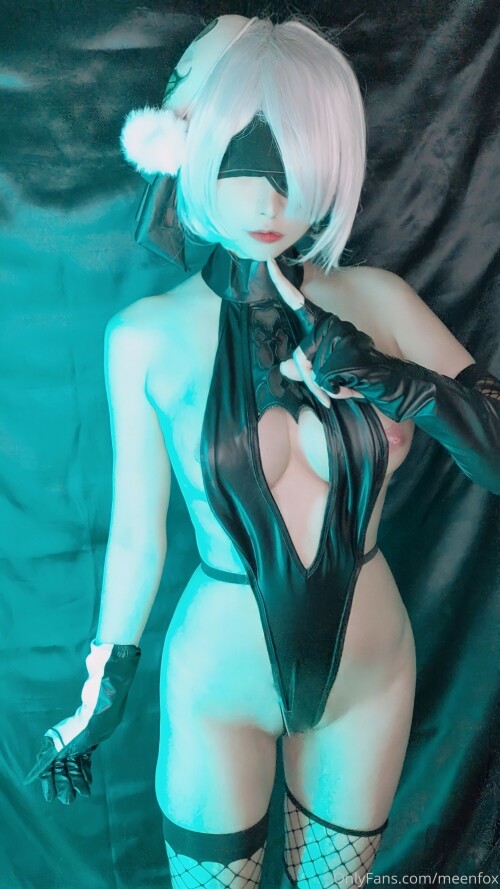 Meenfox 2B 1