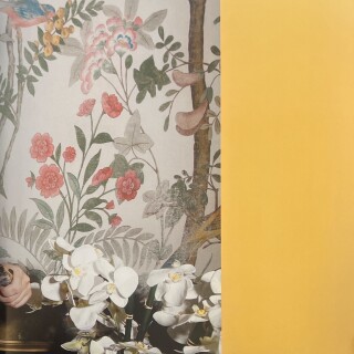 Meg-turney-Book---128b7a9dfa619fc7e4b