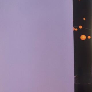 Meg-turney-Book---51c3810370928ff36d