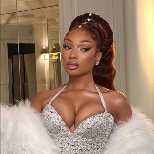 Megan the stallion at Met Gala Gorgeous 353175e4a2981ff69