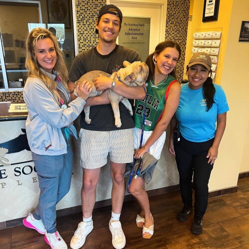 Millie Bobby Brown Feet 77086189ec68328300ea23a