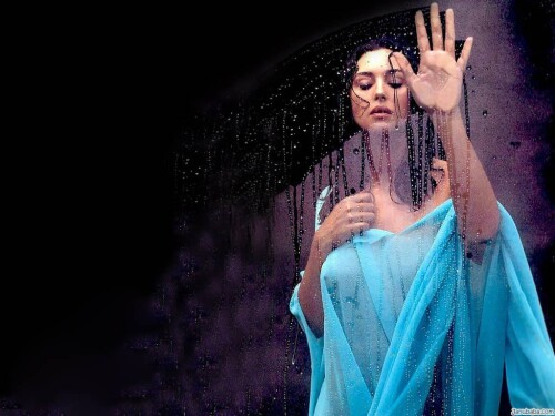 Monica Bellucci monica bellucci 25206537 1024 768dd31624ab5226b43