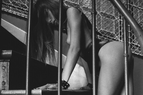 NLA 1624 Modifier 2b9f696d66364f1fc