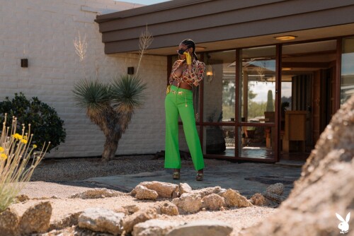 Nyla15 00042a18ff353b149d23