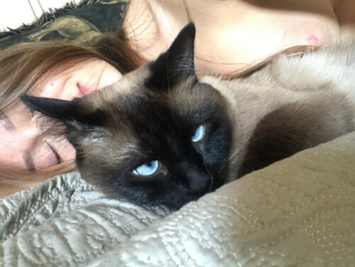 OnlyFans kisa4579 aka Gelya 80288299 076