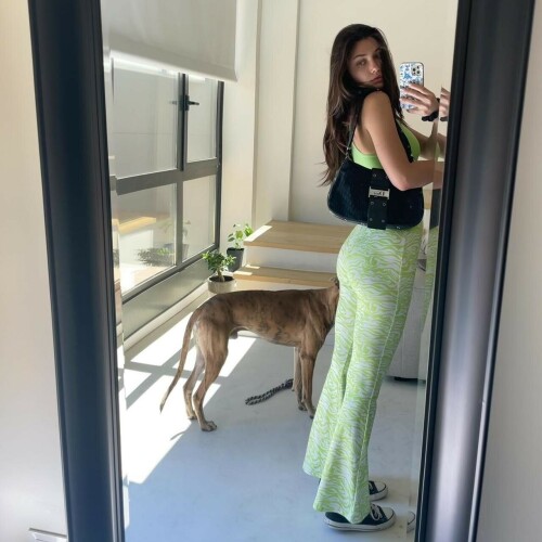 P0 312febee36859a5036