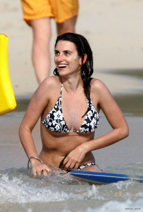 PC 7d502aa3fa43c0a40