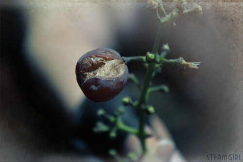 PHFFE1127723a3b4d000f4b