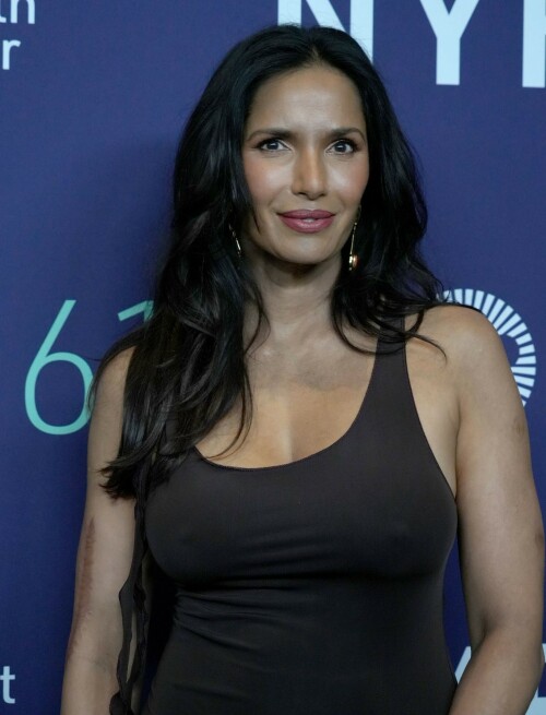 Padma Lakshmi Pokies 025624b4bc6d2ff611