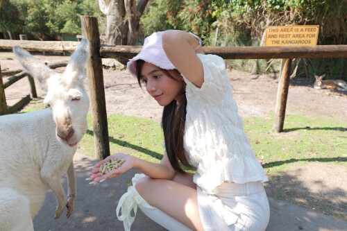 Patreon post image 466a9605029fa1028