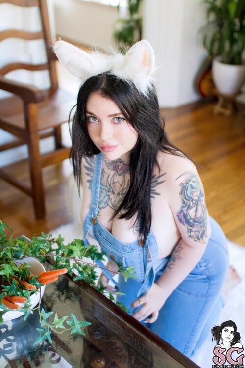 Peter Cottontail 03f039a2229ae5303e