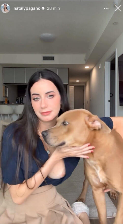 Photo 156401d04e182fe89