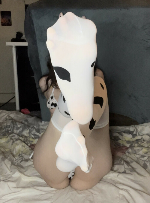 Photo Feb 05 2023 9 45 23 AM