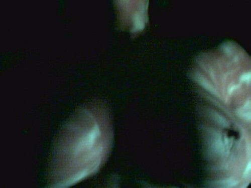 Picture52b