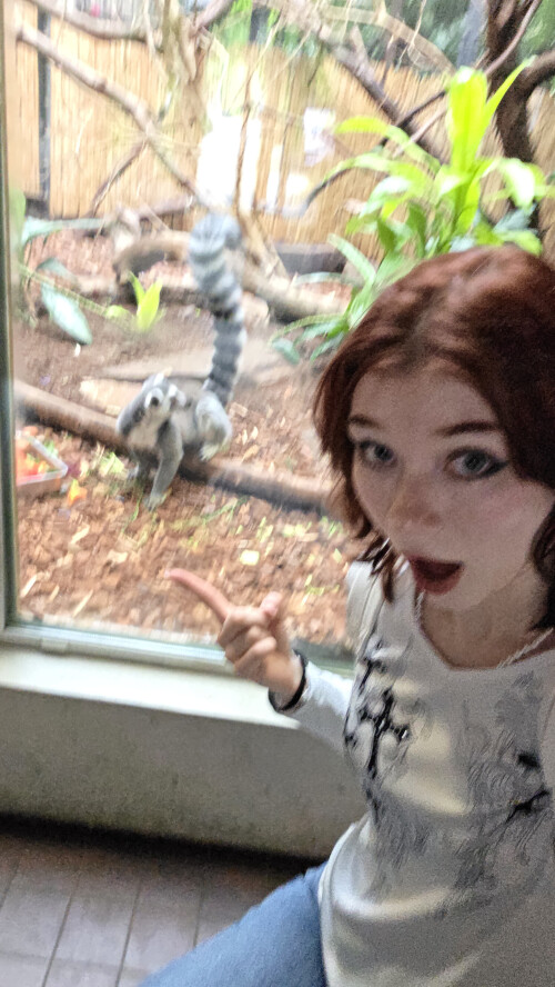 Pictures from Europe France Netherlands Germany 6c21131b0475da4d7