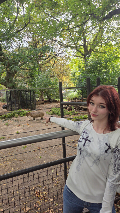 Pictures from Europe France Netherlands Germany 9e250ce14483ca7ad