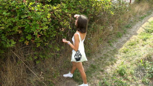 PilGrimGirl Wild Kitty Road to The Sea Set 002 022