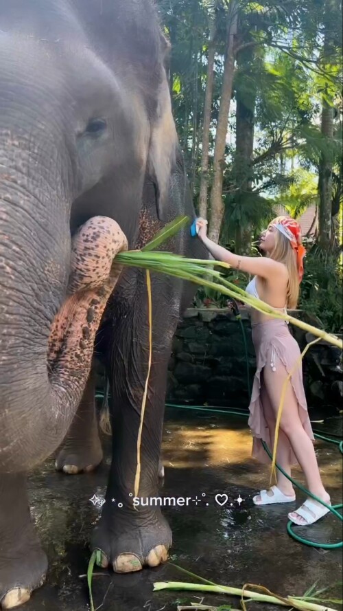 PotPlayerMini QopcUNf22Y04b5e92d2def61d1