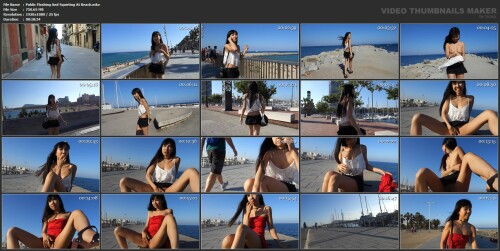 Public Flashing And Squirting At Beach.mkv