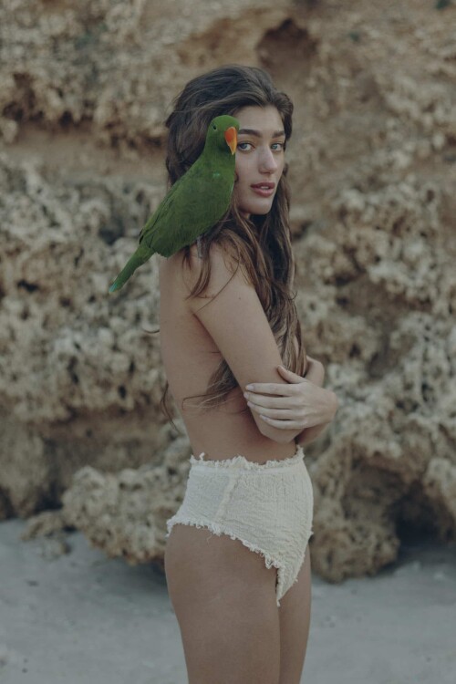 RBCO 44216 scaledd1426a3a30de3ff1