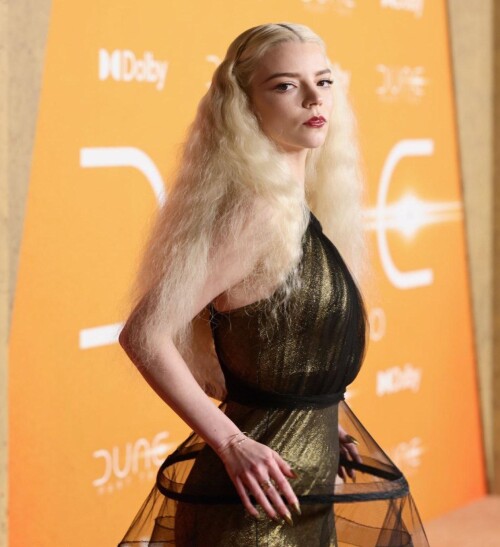 RDT 20240225 2027102296853752738549726166adeaa1026cd8b