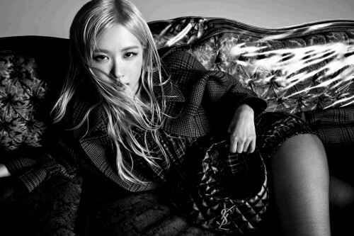ROSE x Saint Laurent YSL FW 2025 documents 142a57fc2d9437fdf