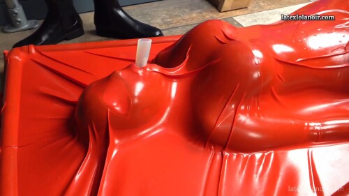 Red Vac Bed 00.09.24.7045026f7a250fd73ef