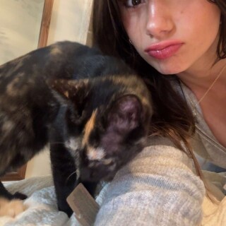 RkZqD0lAfl4JUIGuJCySY.1023e2d4821786cdf669