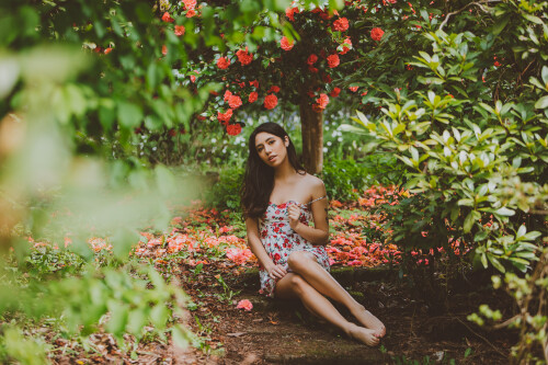 Robin Mae IMG 0763 1c41bc1dc92ac51b3