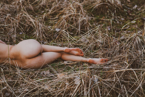 Robin Mae MG 570075d902f1dd728e66