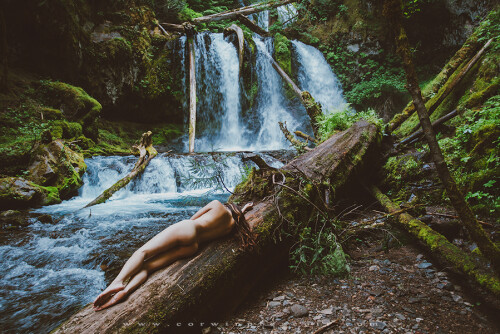 Robin Mae MG 94223ba902bbb8288b12