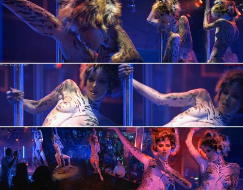 Roselyn Sanchez 14cfbed2700205a52d